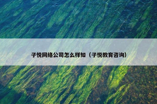 子悦网络公司怎么样知（子悦教育咨询）