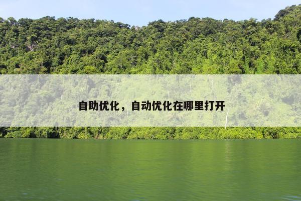 自助优化，自动优化在哪里打开
