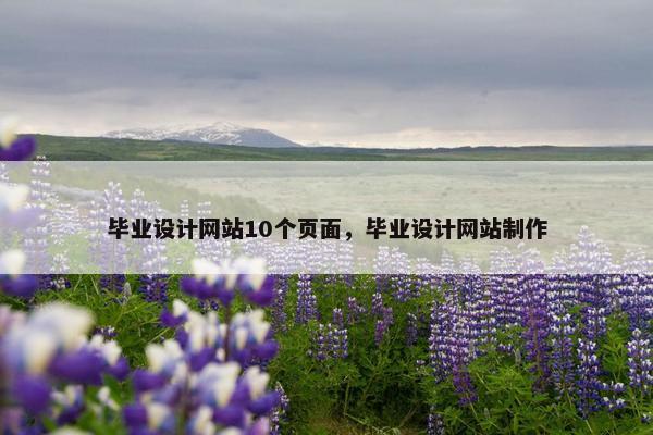 毕业设计网站10个页面，毕业设计网站制作