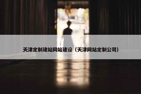 天津定制建站网站建设（天津网站定制公司）