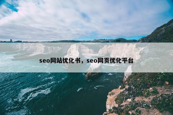 seo网站优化书，seo网页优化平台