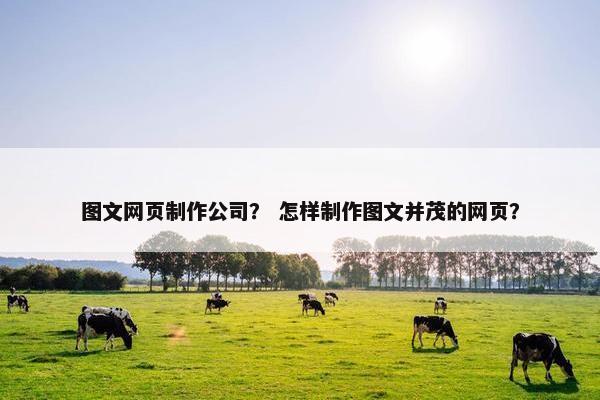 图文网页制作公司？ 怎样制作图文并茂的网页？