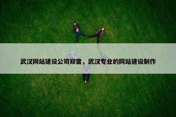 武汉网站建设公司郑雷，武汉专业的网站建设制作
