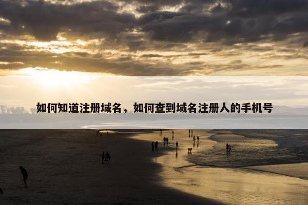 如何知道注册域名，如何查到域名注册人的手机号