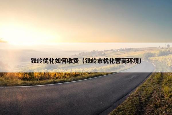 铁岭优化如何收费（铁岭市优化营商环境）