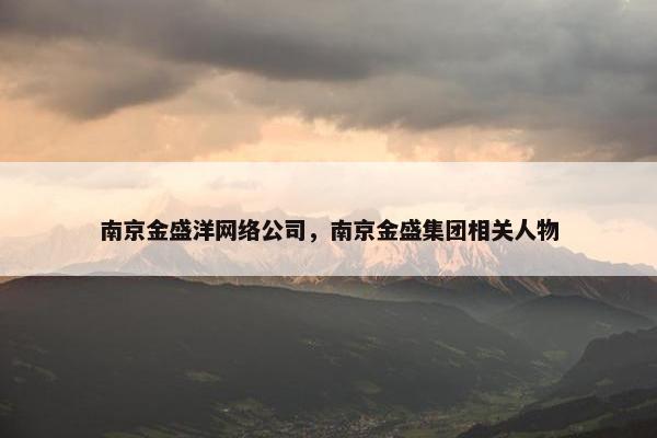 南京金盛洋网络公司，南京金盛集团相关人物