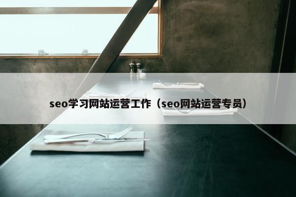 seo学习网站运营工作（seo网站运营专员）