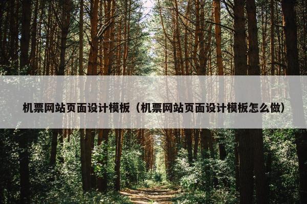 机票网站页面设计模板（机票网站页面设计模板怎么做）