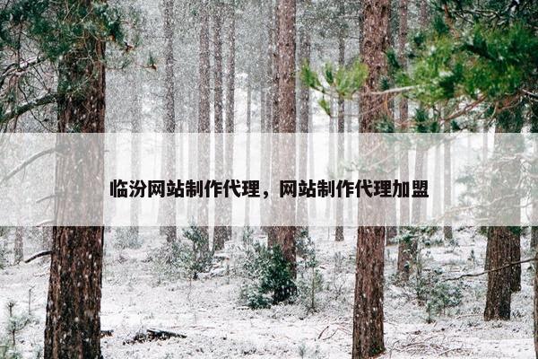 临汾网站制作代理，网站制作代理加盟