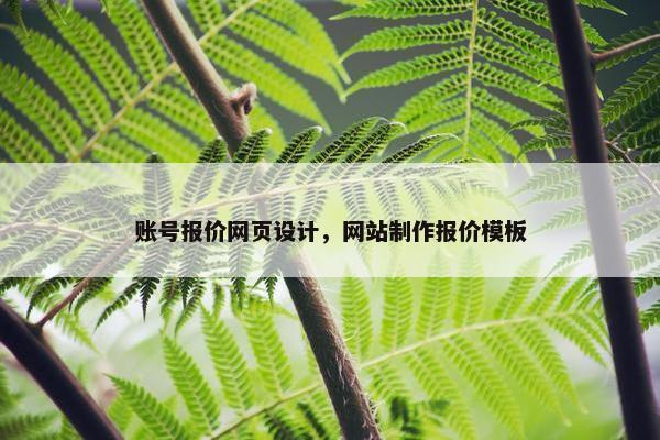 账号报价网页设计，网站制作报价模板