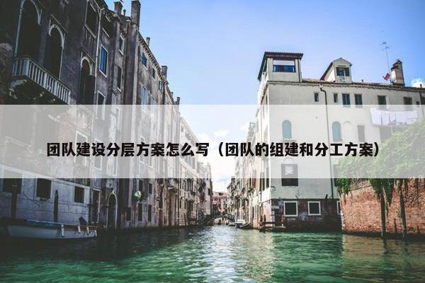 团队建设分层方案怎么写（团队的组建和分工方案）