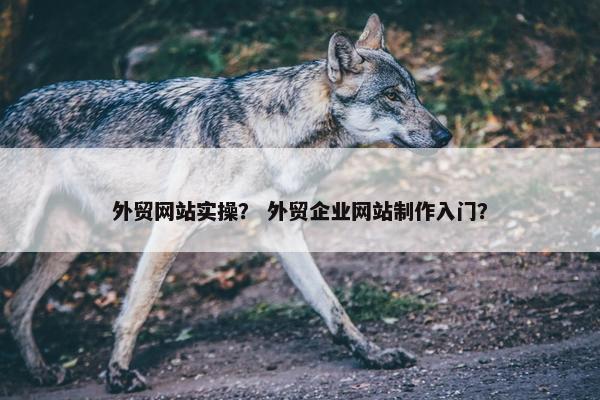 外贸网站实操？ 外贸企业网站制作入门？