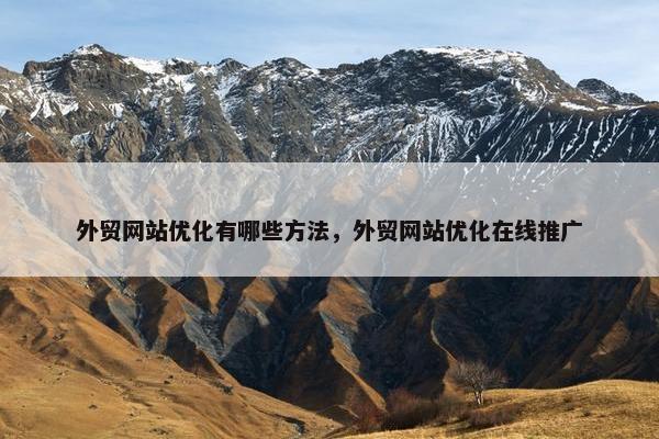 外贸网站优化有哪些方法，外贸网站优化在线推广