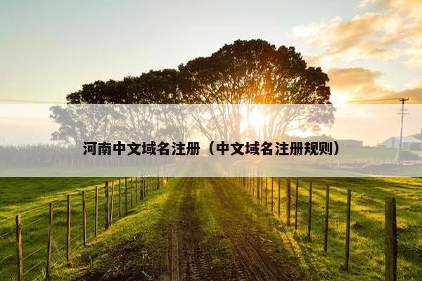 河南中文域名注册（中文域名注册规则）