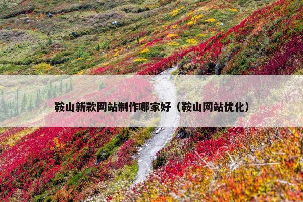 鞍山新款网站制作哪家好（鞍山网站优化）