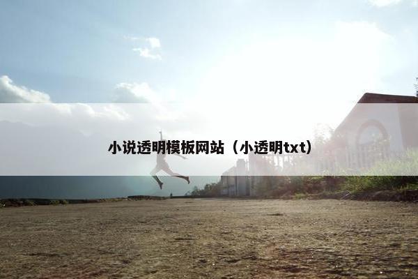 小说透明模板网站（小透明txt）