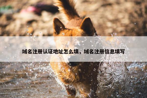 域名注册认证地址怎么填，域名注册信息填写