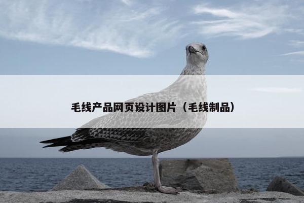毛线产品网页设计图片（毛线制品）