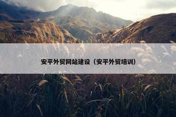 安平外贸网站建设（安平外贸培训）