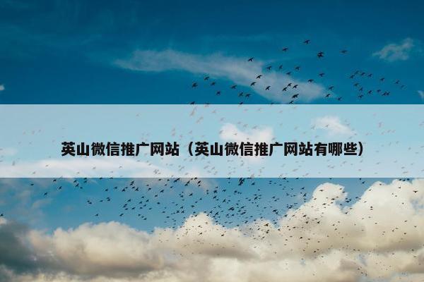 英山微信推广网站（英山微信推广网站有哪些）