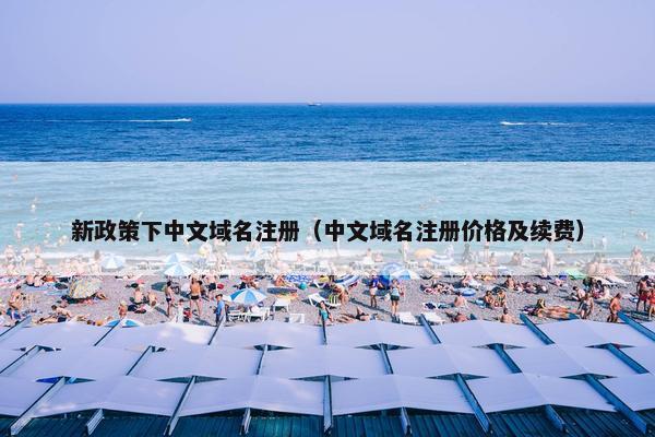 新政策下中文域名注册（中文域名注册价格及续费）