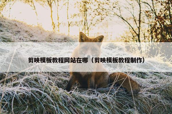 剪映模板教程网站在哪（剪映模板教程制作）