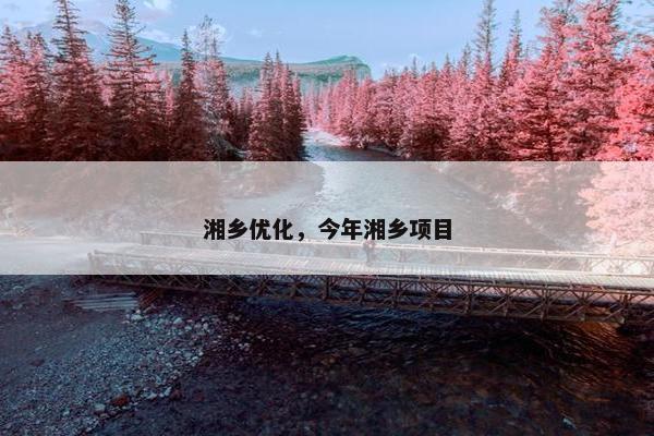 湘乡优化，今年湘乡项目