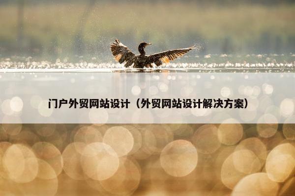 门户外贸网站设计（外贸网站设计解决方案）