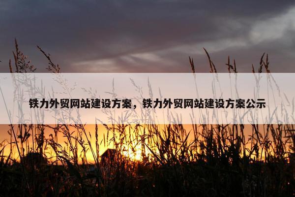 铁力外贸网站建设方案，铁力外贸网站建设方案公示