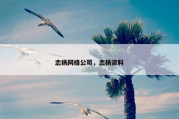 志扬网络公司，志扬资料