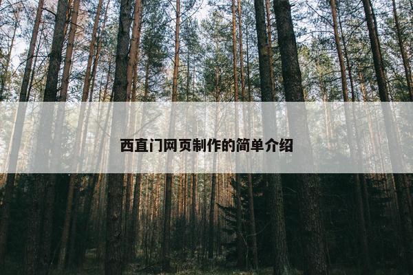 西直门网页制作的简单介绍