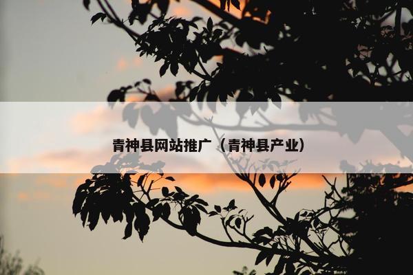 青神县网站推广（青神县产业）