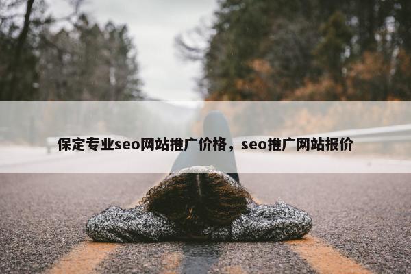 保定专业seo网站推广价格，seo推广网站报价