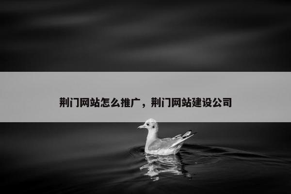 荆门网站怎么推广，荆门网站建设公司