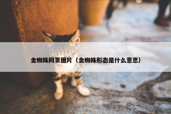 金蜘蛛网页图片（金蜘蛛形态是什么意思）