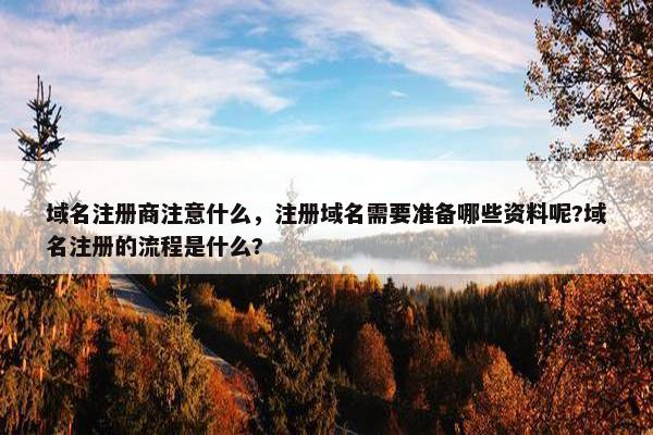 域名注册商注意什么，注册域名需要准备哪些资料呢?域名注册的流程是什么?