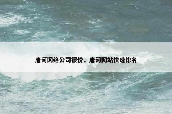 唐河网络公司报价，唐河网站快速排名