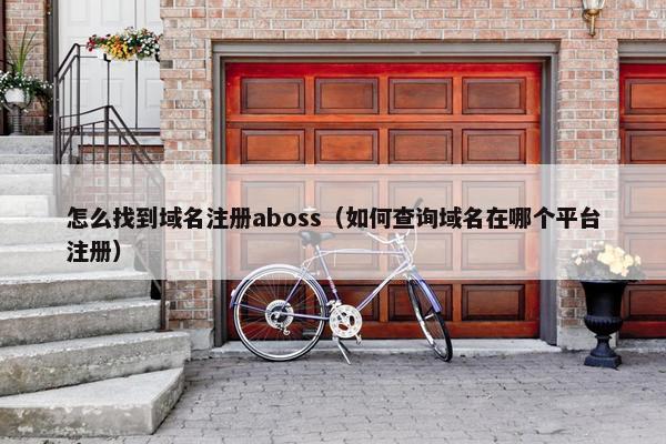 怎么找到域名注册aboss（如何查询域名在哪个平台注册）