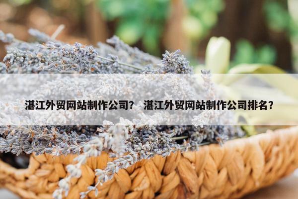 湛江外贸网站制作公司？ 湛江外贸网站制作公司排名？
