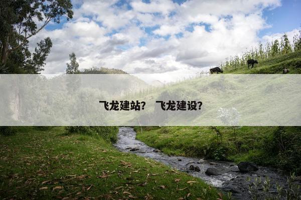 飞龙建站？ 飞龙建设？