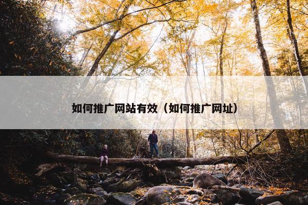 如何推广网站有效（如何推广网址）