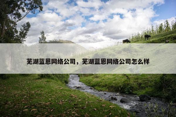芜湖蓝恩网络公司，芜湖蓝恩网络公司怎么样