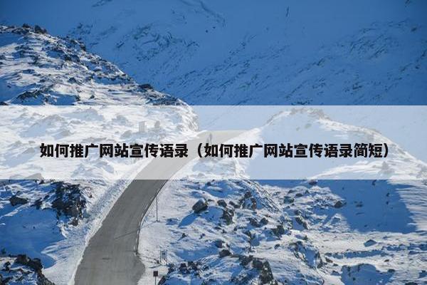 如何推广网站宣传语录（如何推广网站宣传语录简短）