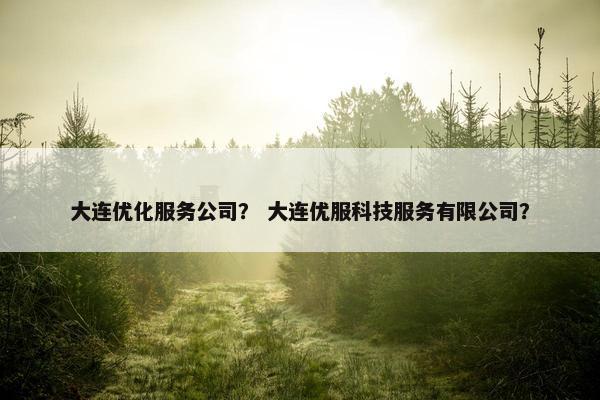大连优化服务公司？ 大连优服科技服务有限公司？