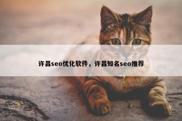 许昌seo优化软件，许昌知名seo推荐