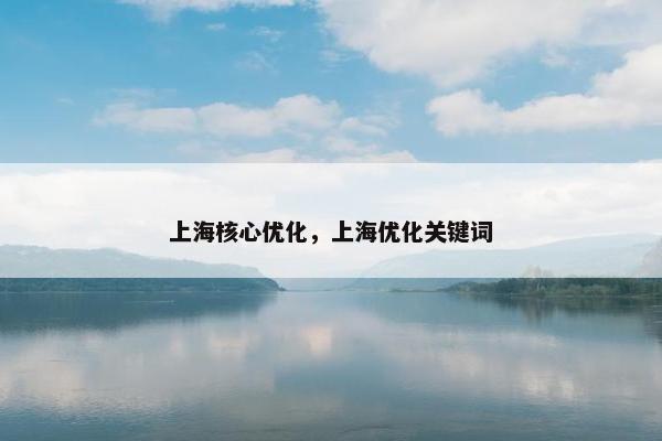 上海核心优化，上海优化关键词