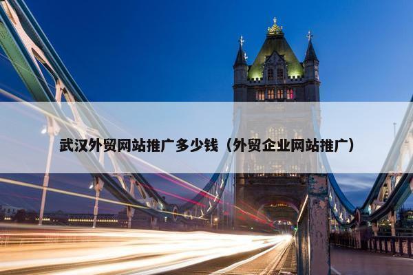 武汉外贸网站推广多少钱（外贸企业网站推广）