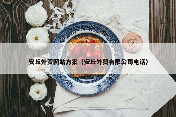 安丘外贸网站方案（安丘外贸有限公司电话）