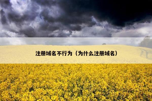 注册域名不行为（为什么注册域名）
