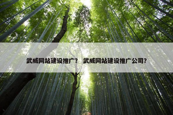 武威网站建设推广？ 武威网站建设推广公司？